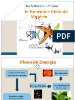 Fluxo de Energia e Ciclo de Matéria