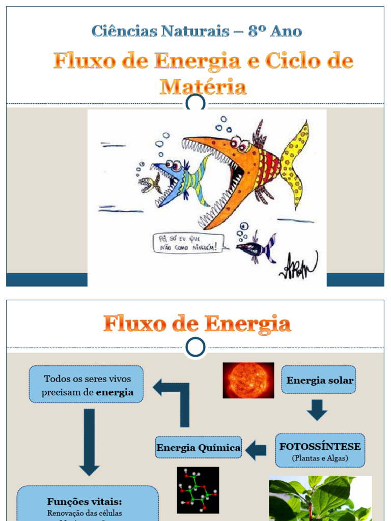 Fluxo de Energia e Ciclo de Matéria | PDF | Fotossíntese | Predação