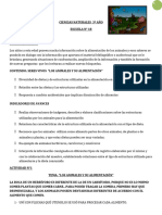 Sec #1 CN Los Animales y Su Alimentación