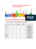 Pigmentacion de Las Plantas