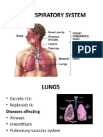 Lecture 8 The Respiratory System