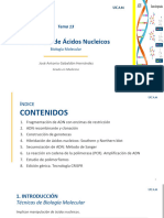 Tema 13. Tecnología de Ácidos Nucleicos Ampliado