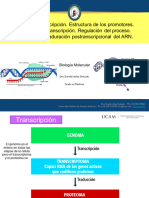 Medicina+Tema+11+Transcripcion