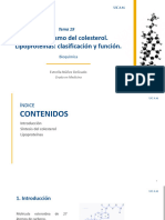 Tema 19 Metabolismo Del Colesterol. Lipoproteínas