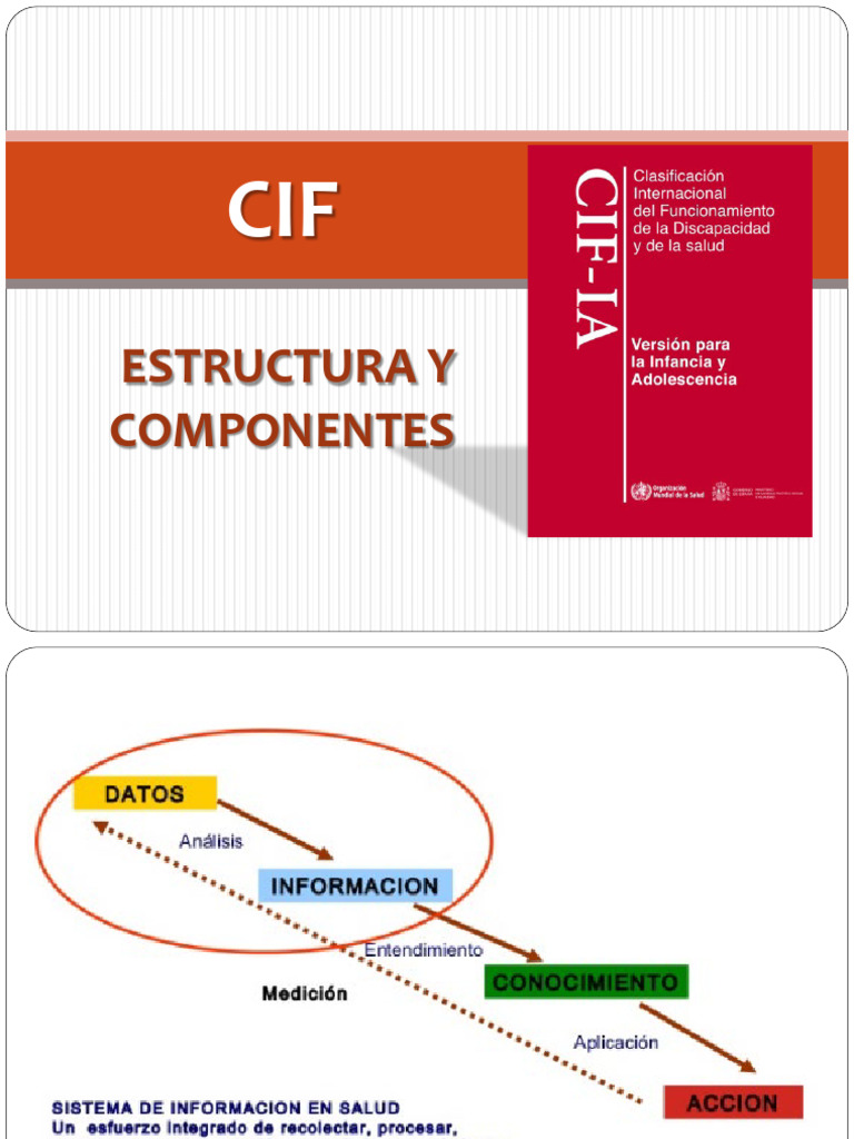 Cif Estructura y Componentes | Descargar gratis PDF | Invalidez | Mente