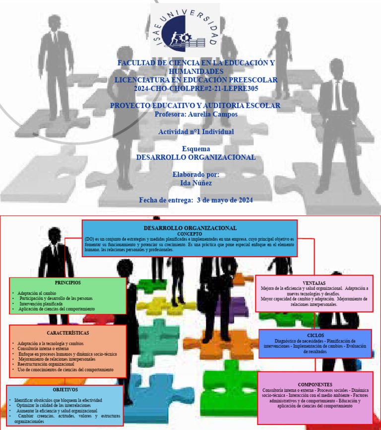 Esquema Desarrollo Organizacional | PDF | Comportamiento | Planificación