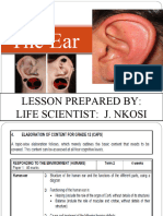 Ear Revision Lesson