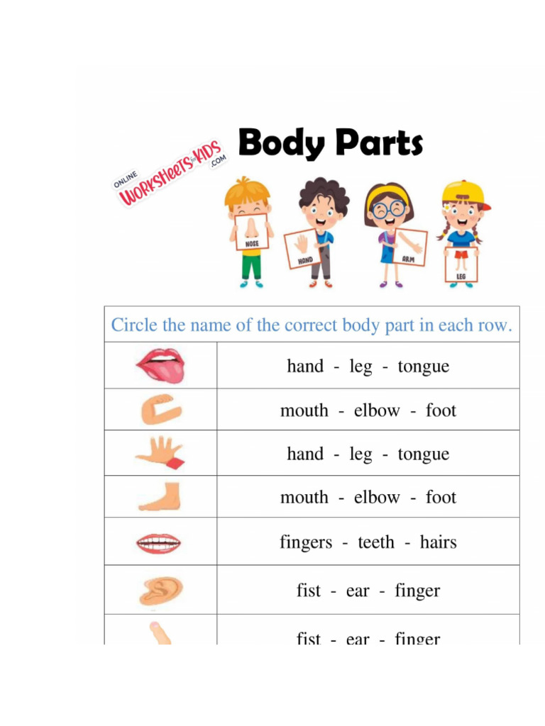 parts of body worksheet