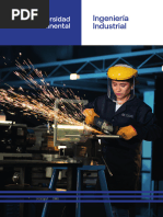 Ingenieria Industrial