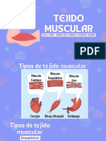 Tejido Muscular