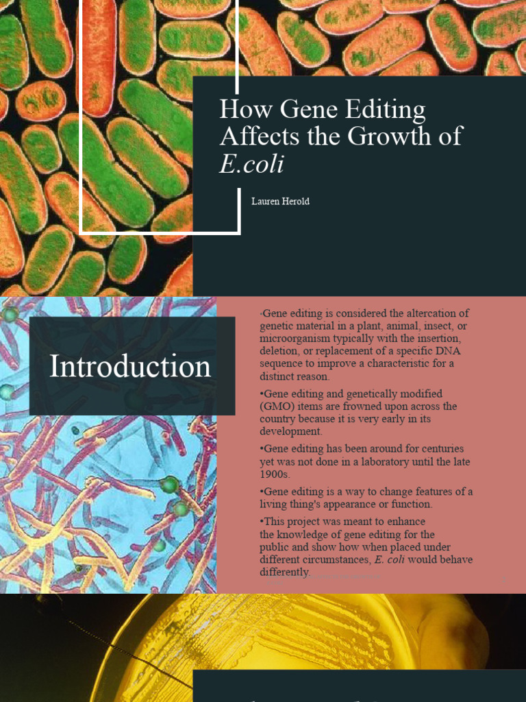 Impact of Gene Editing on E. coli Growth | PDF | Genetic Engineering ...