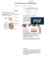 Introdução Ao Metabolismo