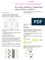 Caracterização Doa Ácidos Nucleicos - Organização Molecular Do DNA e Do RNA