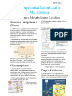 Jejum e Metabolismo Lipídico