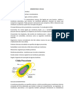 Homeostase e Celula (Resumo)