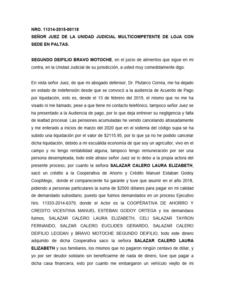 Juicio de Alimentos | PDF | Pensión alimenticia | Pensión