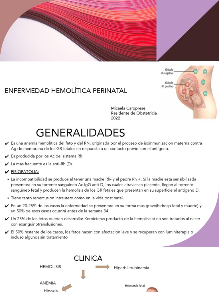 enfermedad-hemolitica-perinatal-pdf-medicina-clinica-salud-maternal