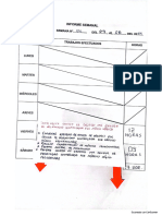 Informe 04 y 05