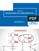 Sesión 04 - Metabolismo de Carbohidratos 2