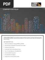 Strong Bridge Consult Portfolio
