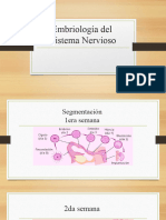Embriología e Histología Del Sistema Nervioso