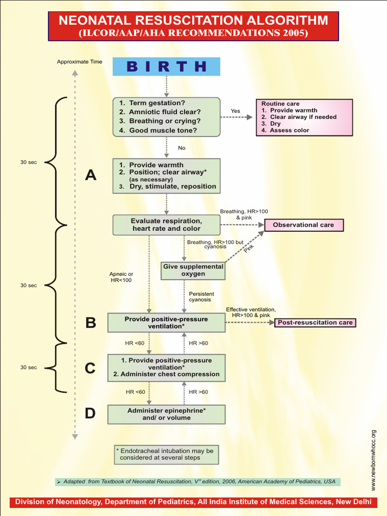 Neonatal Resuscitation Guidelines 2005 | PDF | Cardiopulmonary ...