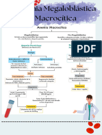 Anemia Megaloblastica