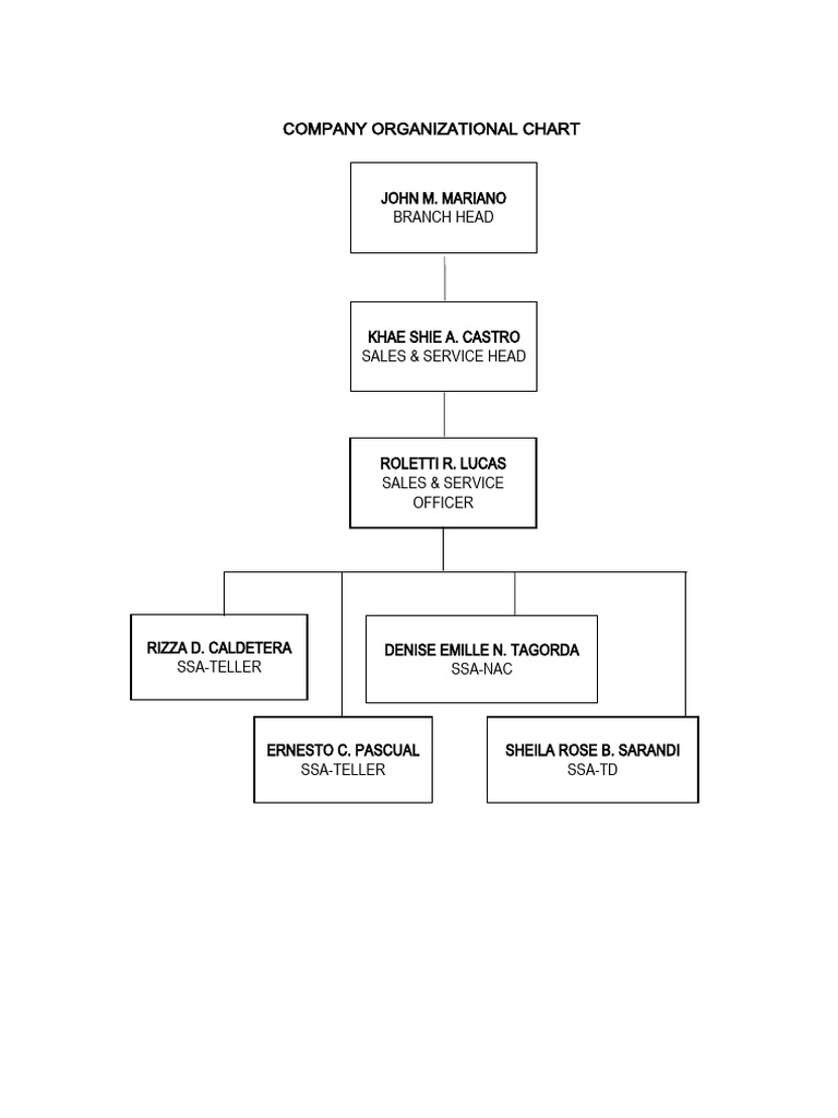 Company Organizational Chart | PDF