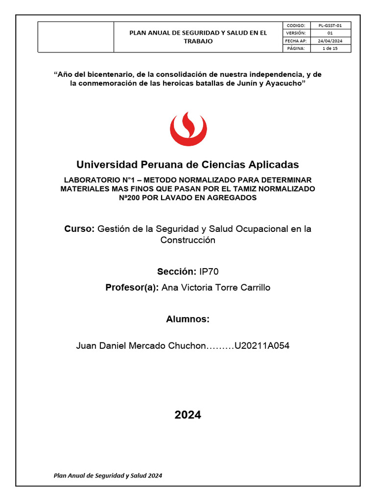 Plan Anual de Seguridad y Salud en El Trabajo 2024 | PDF | Seguridad y ...