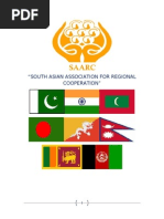 Download Merits and Demerits of SAARC by hary11 SN72822716 doc pdf