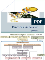 Functional Annotation