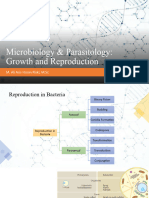 Pertemuan 3 Microbiology & Parasitology