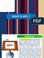 NPV Explanation