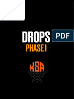 Drops Phase I PDF