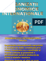 Organizatiile Economice Internationale