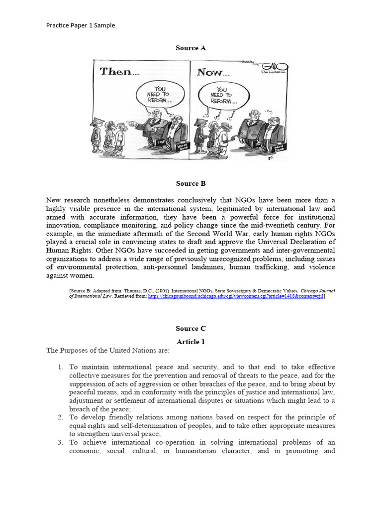 Role of NGOs and IGOs in Global Politics | PDF | International Law ...