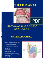 Anatomía de la cavidad nasal