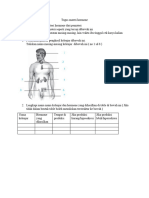 Tugas Materi Hormone