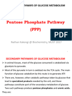 Pentose Phosphate Pathway PDF