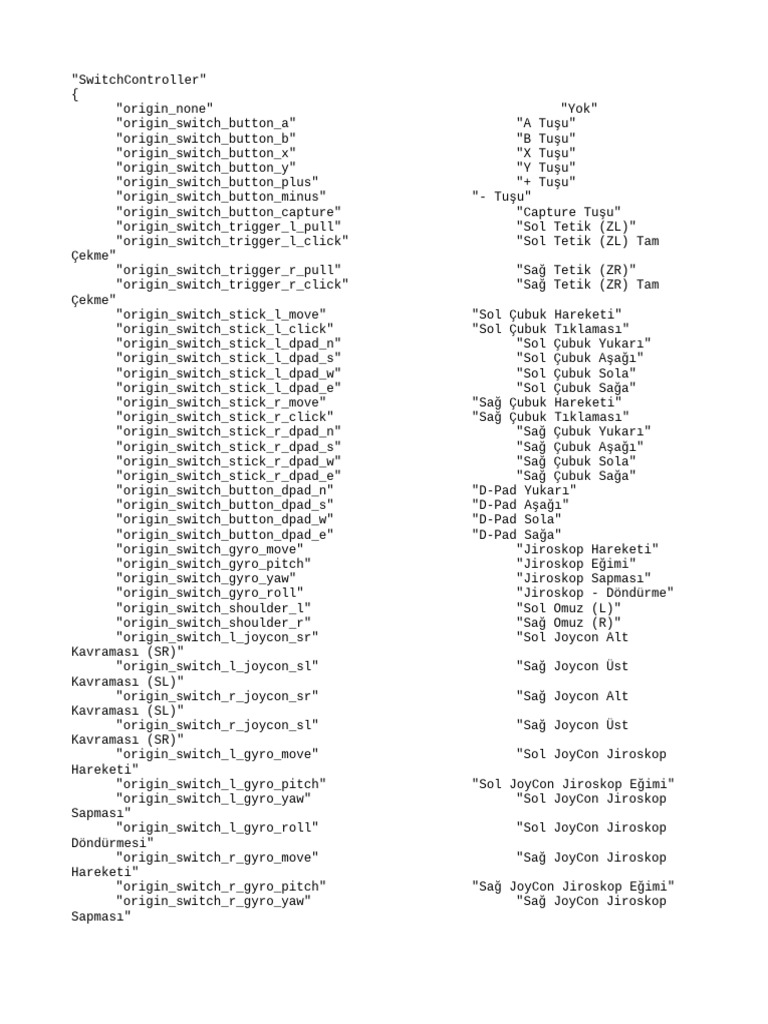 Switch controller turkish pdf