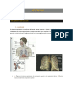 Módulo 4 Via Aerea y Ventilacion