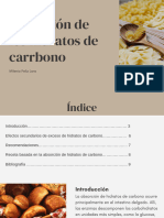 Absorción de Los Hidratos de Carbono - 20240219 - 161702 - 0000