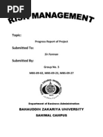 Progress Report. R.M