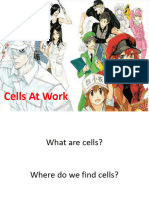 CH 4 What Are Cells
