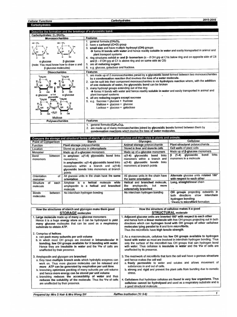 Raffles Institution SJBO Notes | PDF