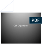 Cell Organelles