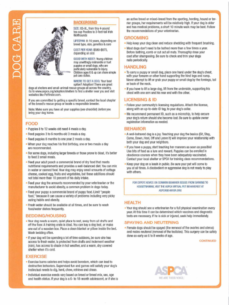 Pet Care | PDF