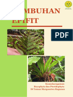Tumbuhan Epifit (Fix)