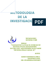 Metodologia de La Investigacion