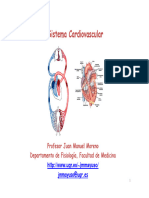 Sistema Cardiovascular I - 240416 - 182116